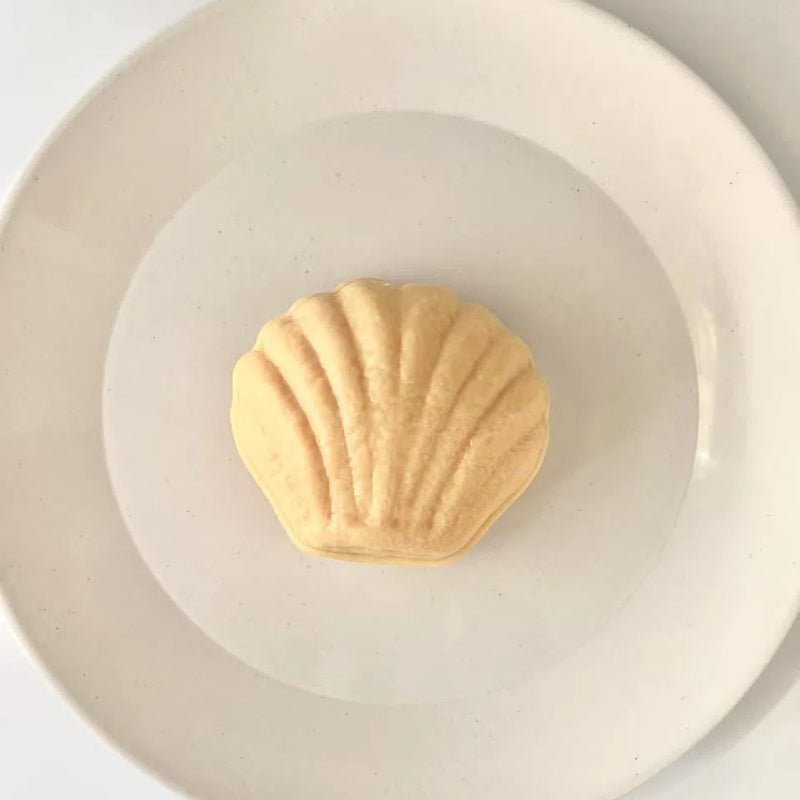 Seashell Shaped Madeleine Taba Squishy Toy - Squooshland